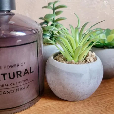 Niesen Loft Apartman *