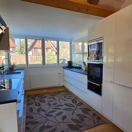 Niesen Loft Apartman *