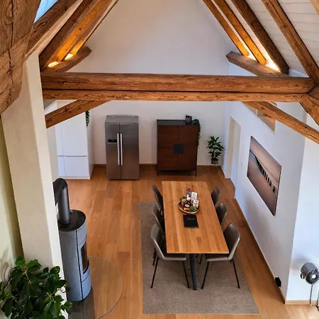 Niesen Loft Apartment