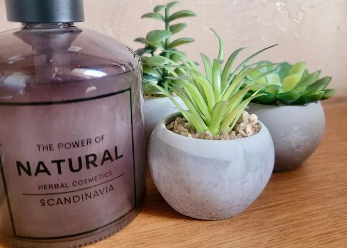 Niesen Loft Appartamento *