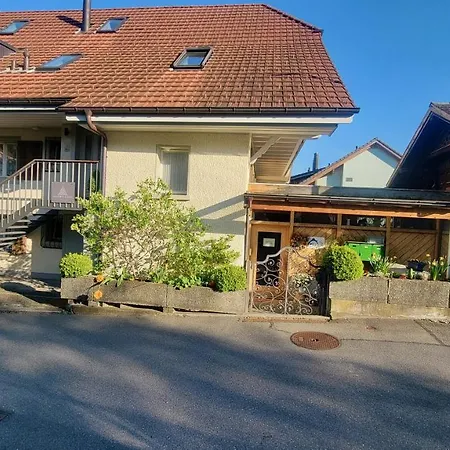 Апартаменты Niesen Loft