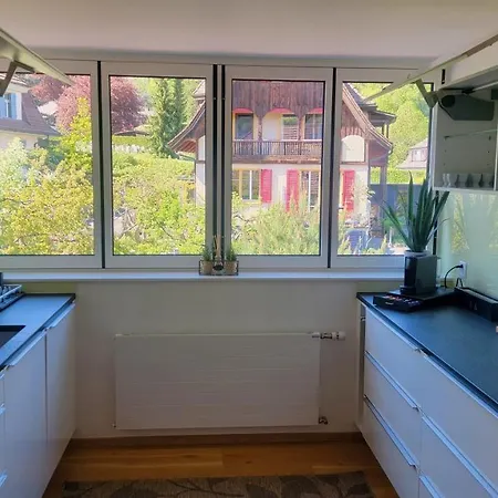 Niesen Loft * Шпиц