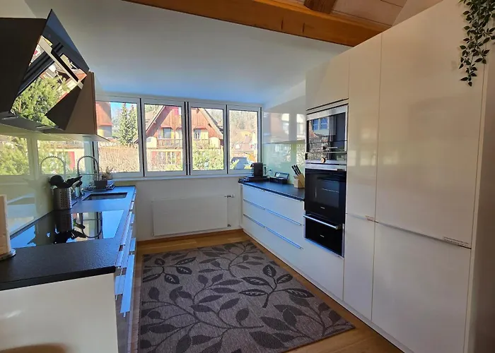 Niesen Loft Apartment *