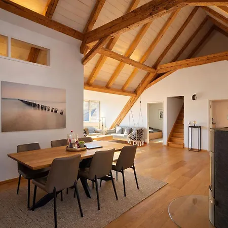 Lejlighed Niesen Loft Spiez